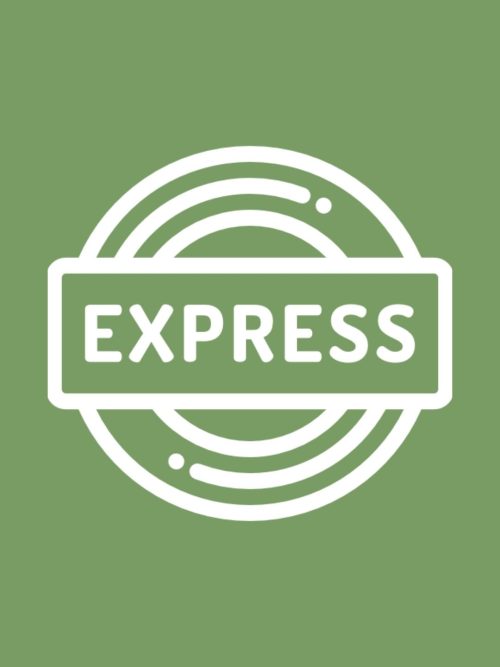 Express Delivery